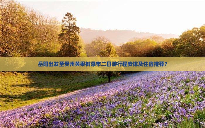 岳阳出发至贵州黄果树瀑布二日游行程安排及住宿推荐？