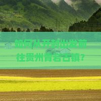 如何从开封出发前往贵州青岩古镇？有哪些旅行社提供此线路服务？