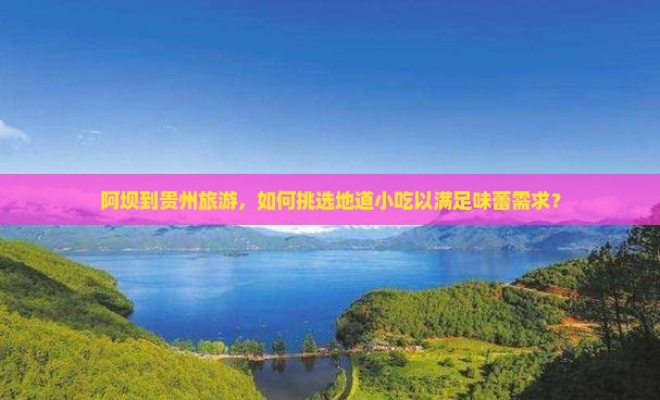 阿坝到贵州旅游，如何挑选地道小吃以满足味蕾需求？