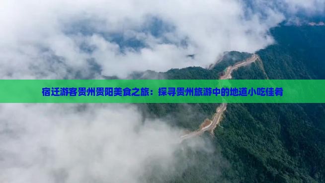 宿迁游客贵州贵阳美食之旅：探寻贵州旅游中的地道小吃佳肴