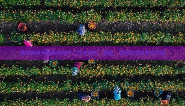 湘潭到贵州黄果树瀑布二日游费用、路线、交通方式及自驾攻略