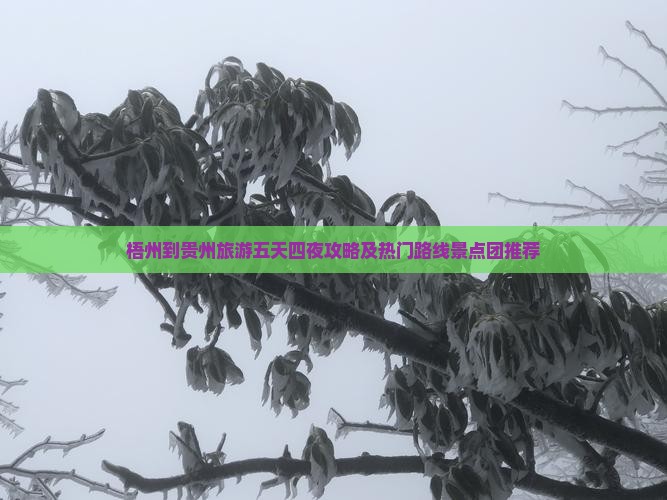 梧州到贵州旅游五天四夜攻略及热门路线景点团推荐