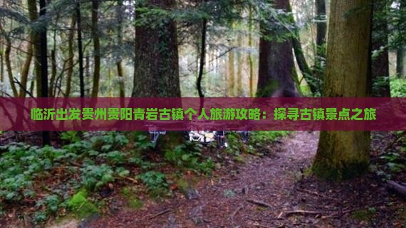 临沂出发贵州贵阳青岩古镇个人旅游攻略：探寻古镇景点之旅