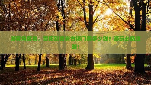 游客角度看，贵阳到青岩古镇门票多少钱？游玩必备攻略！