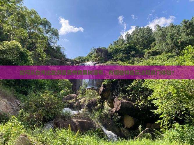 如何从台州出发游览贵州黄果树瀑布，有哪些特色玩法和热门体验？