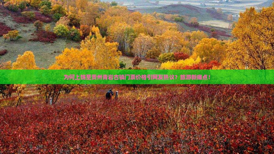 为何上饶至贵州青岩古镇门票价格引网友热议？旅游新痛点！