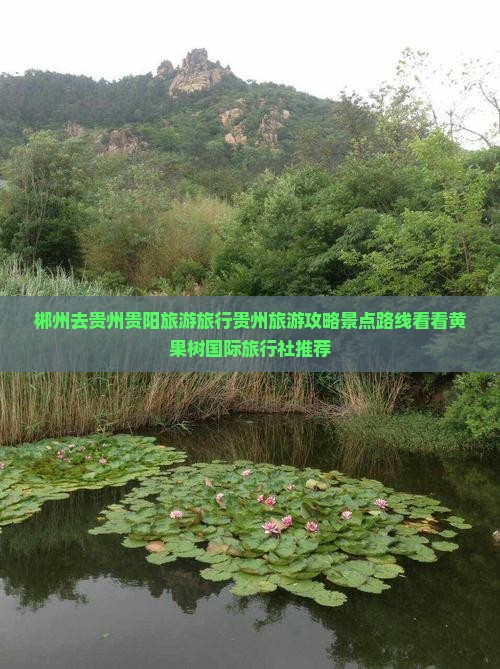 郴州去贵州贵阳旅游旅行贵州旅游攻略景点路线看看黄果树国际旅行社推荐