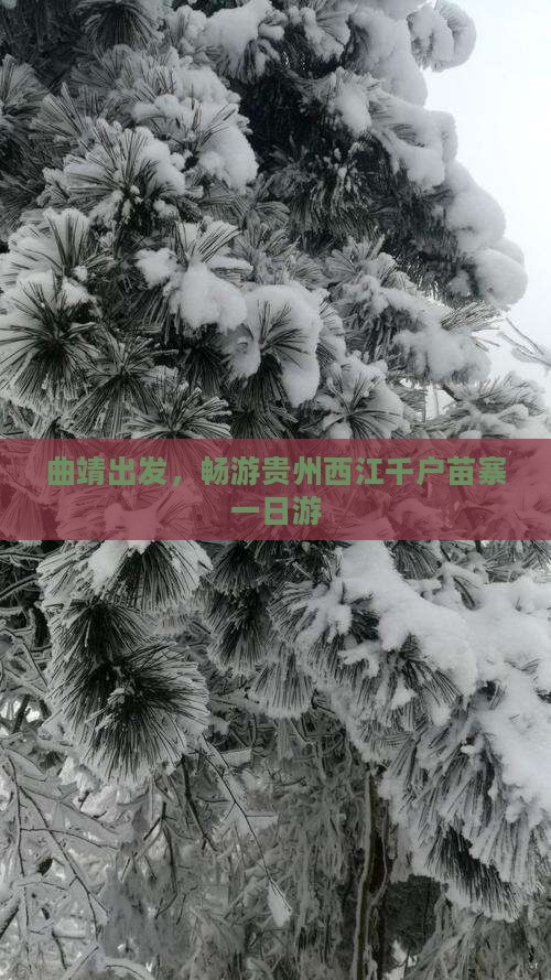 曲靖出发，畅游贵州西江千户苗寨一日游