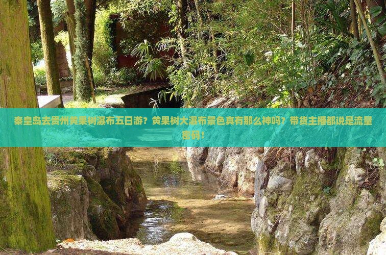 秦皇岛去贵州黄果树瀑布五日游？黄果树大瀑布景色真有那么神吗？带货主播都说是流量密码！