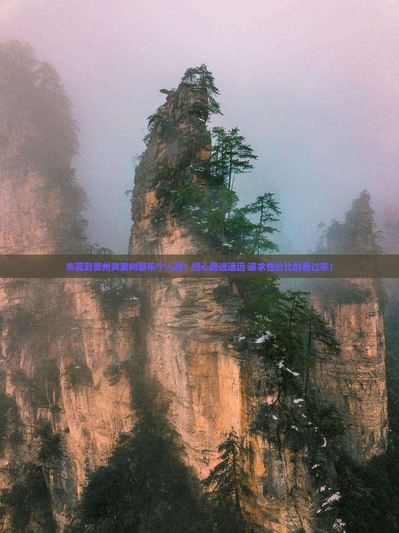 东莞到贵州黄果树瀑布个人游