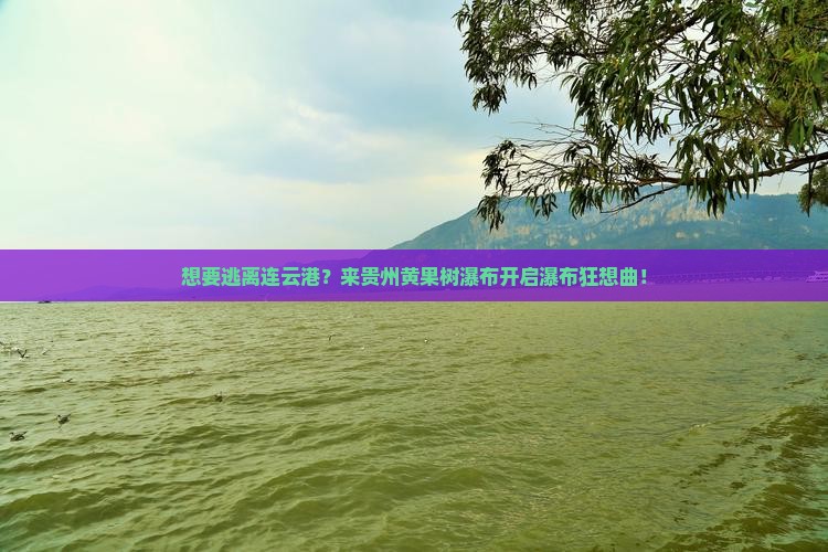 连云港去贵州黄果树瀑布哪里玩