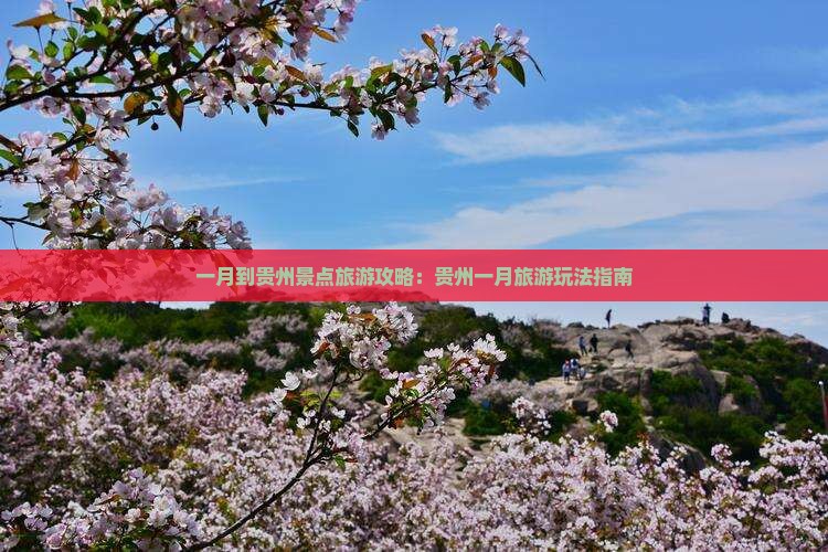 一月到贵州景点