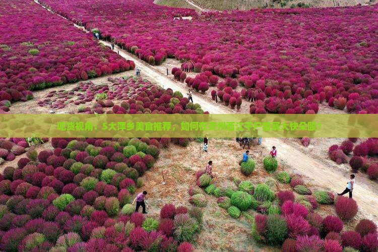 萍乡到贵州西江千户苗寨旅游小吃