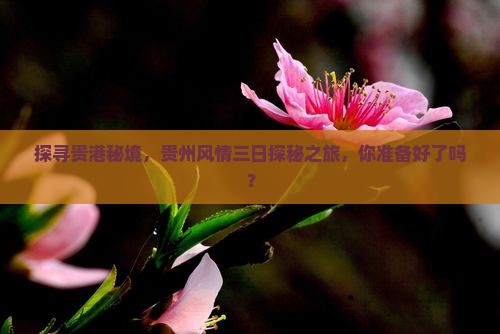 贵港到贵州三日游