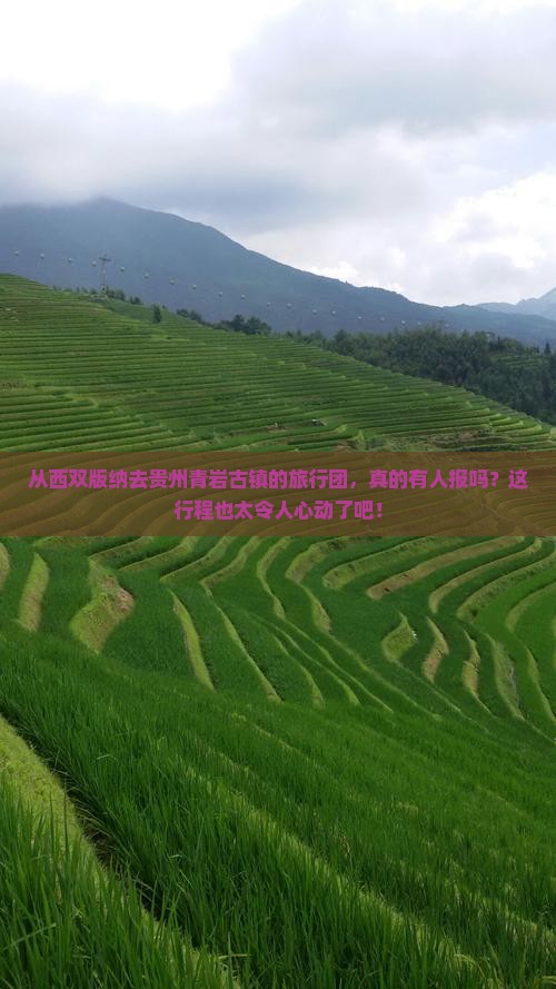 西双版纳到贵州青岩古镇大型旅游团