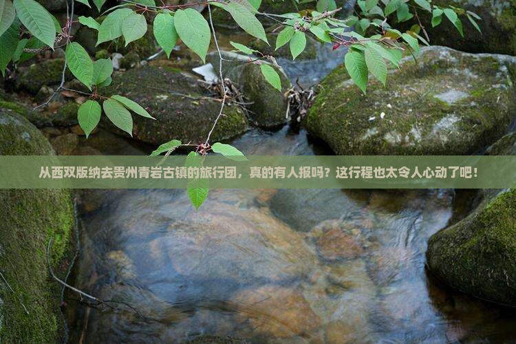 西双版纳到贵州青岩古镇大型旅游团