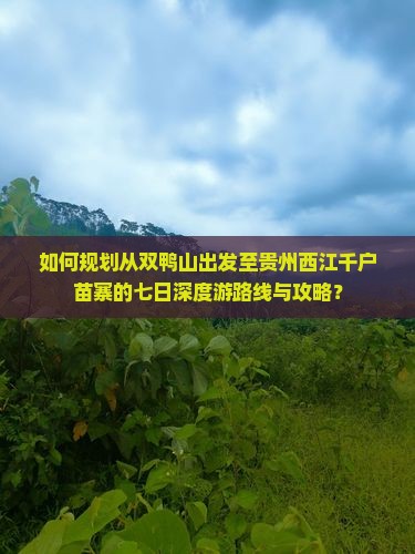双鸭山到贵州西江千户苗寨七日游 双鸭山到贵州西江千户苗寨七日游