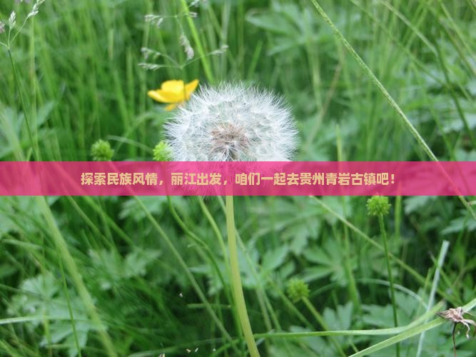 丽江去贵州青岩古镇旅游