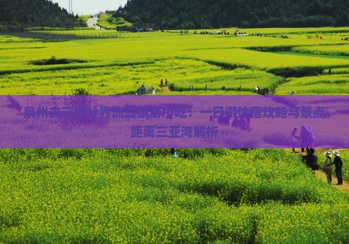 泉州去三亚分界洲岛旅游小吃：一日游住宿攻略与景点距离三亚湾解析