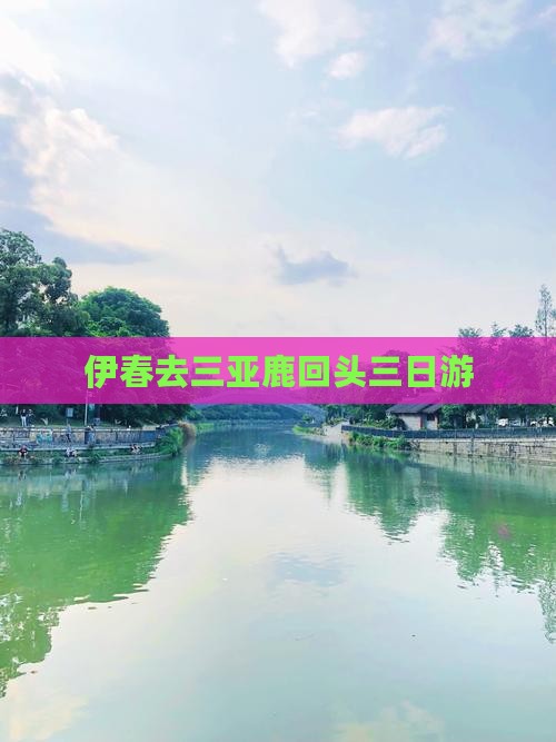 伊春去三亚鹿回头三日游