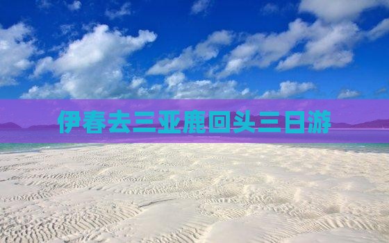 伊春去三亚鹿回头三日游