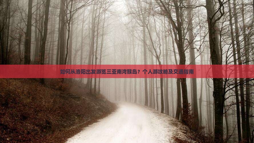 如何从洛阳出发游览三亚南湾猴岛？个人游攻略及交通指南