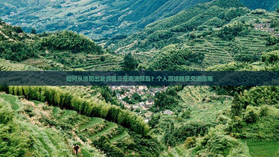 如何从洛阳出发游览三亚南湾猴岛？个人游攻略及交通指南