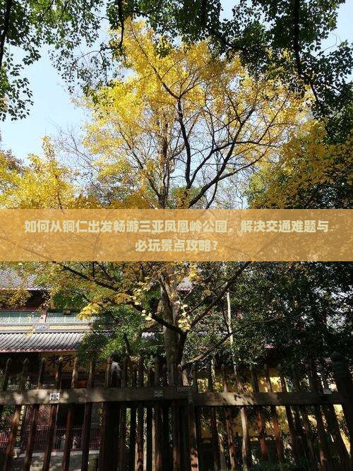 如何从铜仁出发畅游三亚凤凰岭公园，解决交通难题与必玩景点攻略？