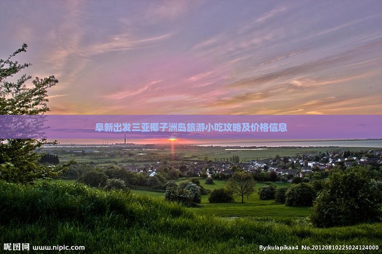 阜新出发三亚椰子洲岛旅游小吃攻略及价格信息