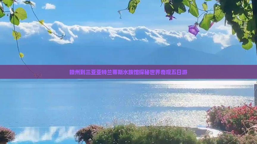 赣州到三亚亚特兰蒂斯水族馆探秘世界奇观五日游