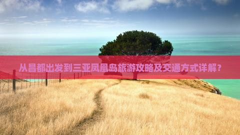 从昌都出发到三亚凤凰岛旅游攻略及交通方式详解？