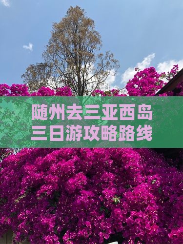 随州去三亚西岛三日游攻略路线及费用多少钱