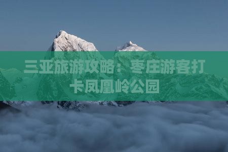 三亚旅游攻略：枣庄游客打卡凤凰岭公园