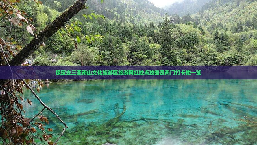 保定去三亚南山文化旅游区旅游网红地点攻略及热门打卡地一览