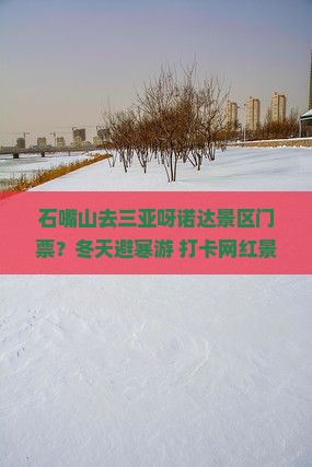 石嘴山去三亚呀诺达景区门票？冬天避寒游+打卡网红景点不容错过！