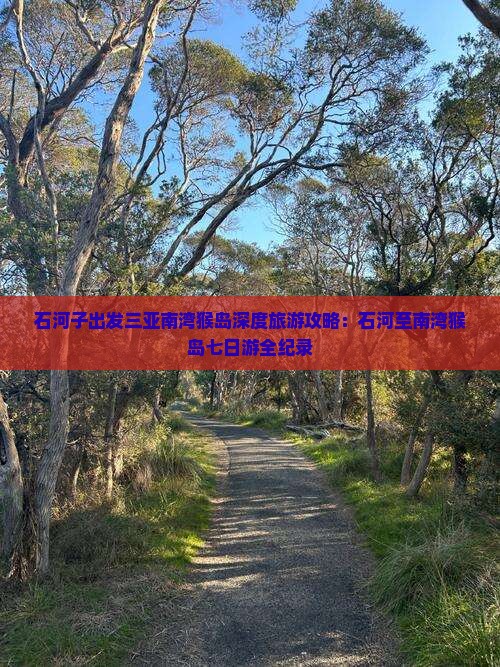石河子出发三亚南湾猴岛深度旅游攻略：石河至南湾猴岛七日游全纪录