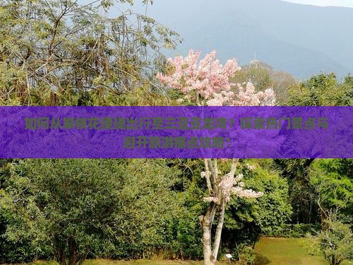 如何从攀枝花便捷出行至三亚亚龙湾？探索热门景点与避开旅游痛点攻略！