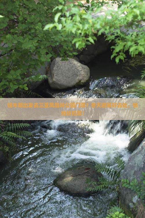 佳木斯出发去三亚凤凰岭公园门票？冬天避寒好去处，快抢折扣票！