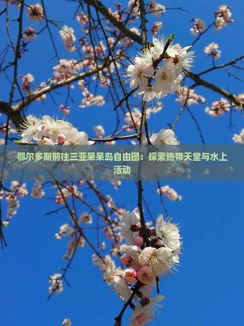 鄂尔多斯前往三亚呆呆岛自由团：探索热带天堂与水上活动