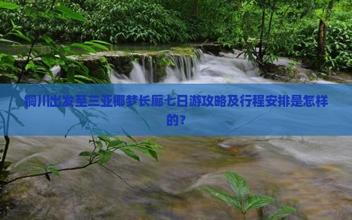 铜川出发至三亚椰梦长廊七日游攻略及行程安排是怎样的？