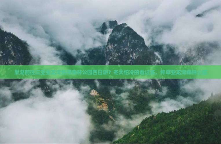 巢湖前往三亚亚龙湾热带森林公园四日游？冬天怕冷的看过来，种草亚龙湾森林公园