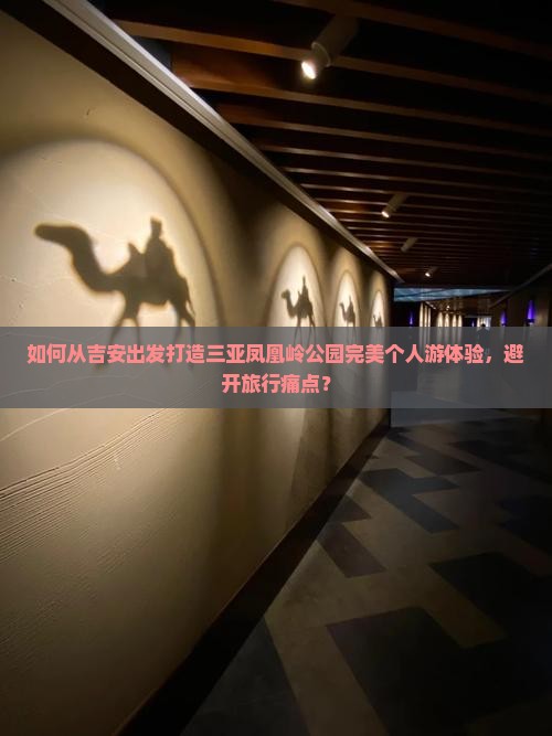如何从吉安出发打造三亚凤凰岭公园完美个人游体验，避开旅行痛点？