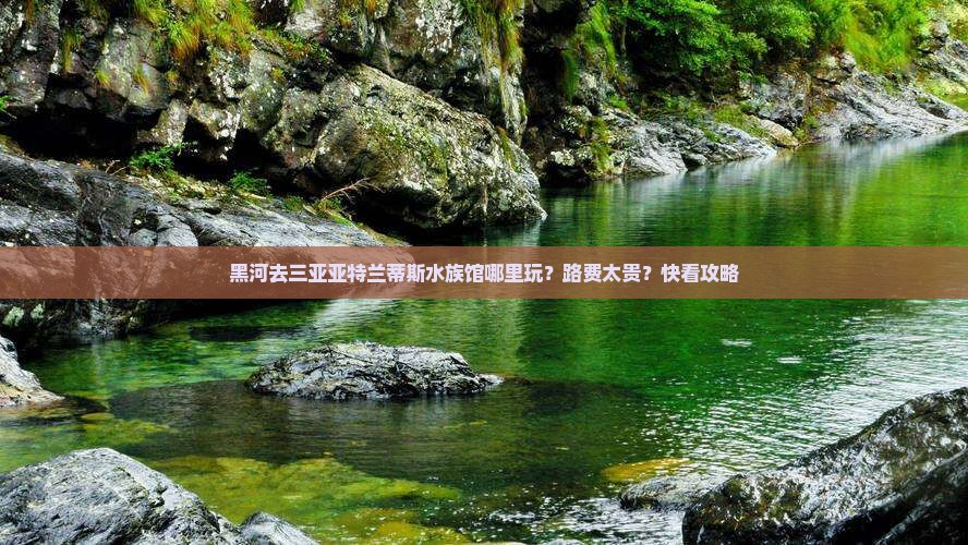 黑河去三亚亚特兰蒂斯水族馆哪里玩？路费太贵？快看攻略
