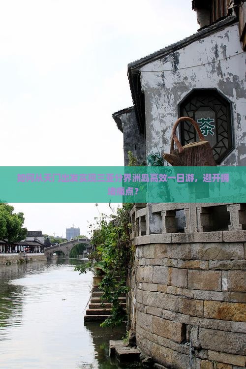 如何从天门出发实现三亚分界洲岛高效一日游，避开拥堵痛点？