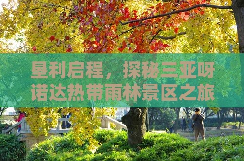 垦利启程，探秘三亚呀诺达热带雨林景区之旅