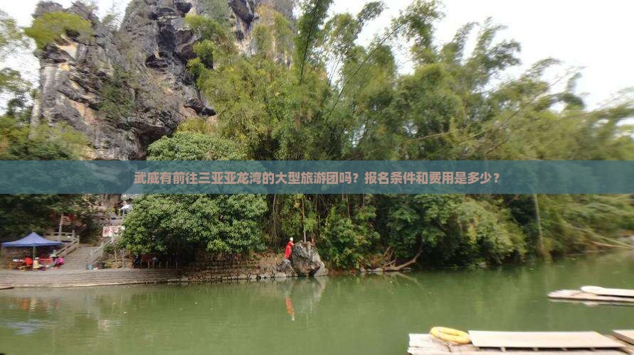 武威有前往三亚亚龙湾的大型旅游团吗？报名条件和费用是多少？
