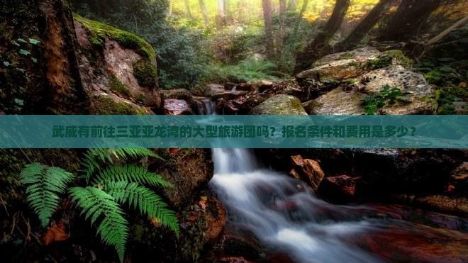 武威有前往三亚亚龙湾的大型旅游团吗？报名条件和费用是多少？