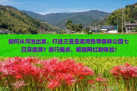 如何从河池出发，打造三亚亚龙湾热带森林公园七日深度游？旅行痛点，解锁网红新体验！
