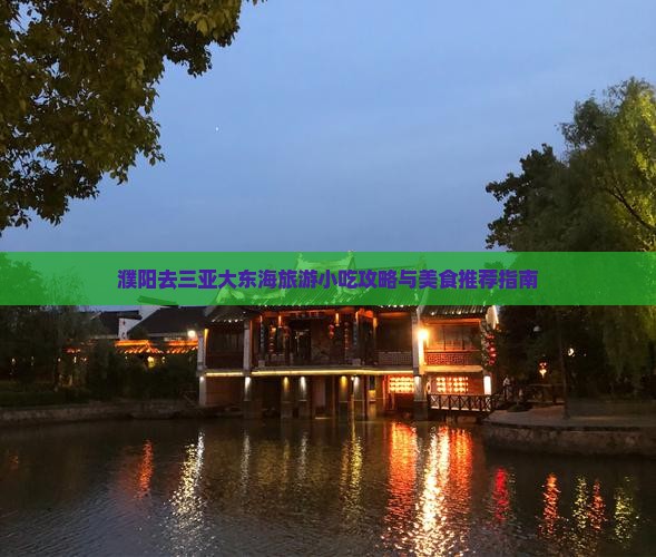 濮阳去三亚大东海旅游小吃攻略与美食推荐指南