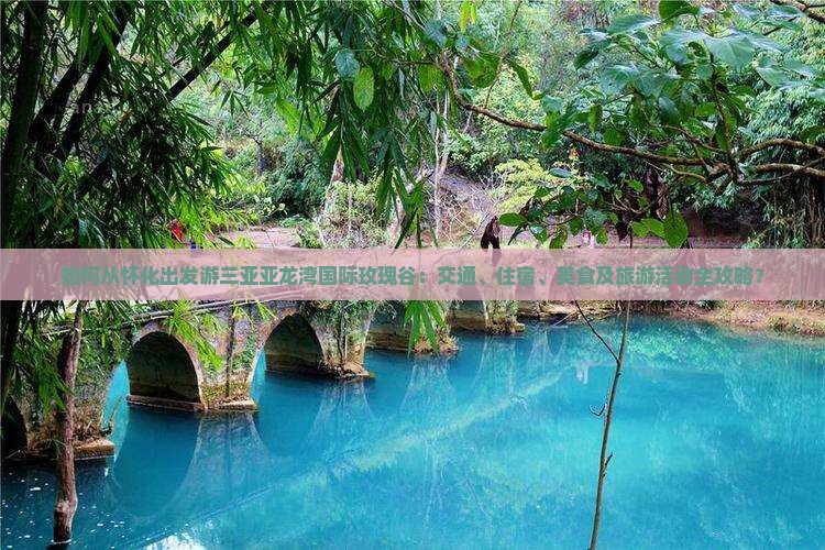 如何从怀化出发游三亚亚龙湾国际玫瑰谷：交通、住宿、美食及旅游活动全攻略？